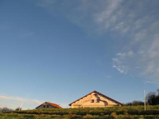 Ferme-Auberge du Rondeau - Lavans-Vuillafans - 3