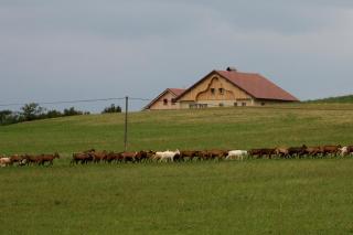 Ferme-Auberge du Rondeau - Lavans-Vuillafans - 2