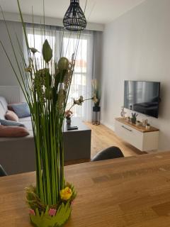 APARTAMENT AURA RYBAKI - Gdansk - 0