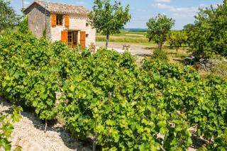 la cabane du vigneron - Donnazac - 5