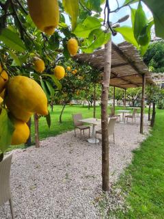 Casa Amorino - 8
