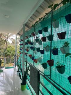 SpiceGreen Homestay,Thekkady - 5