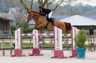 Cœur des chevaux - 2