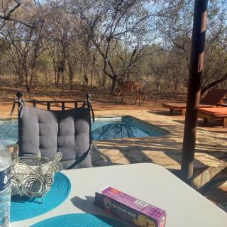 Hoedspruit Bush Cottage - Hoedspruit - 9