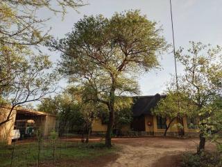 Hoedspruit Bush Cottage - Hoedspruit - 6