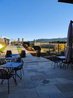 Cascina BELLONUOVO - Alba - 6