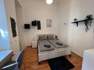 BIG APARTMENT IN THE CITY CENTRE - Budapest - 1