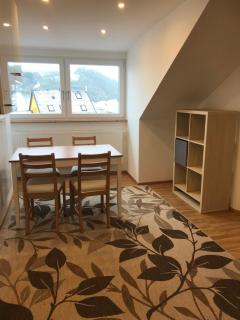 Ferienwohnung in Wiesent-gerne Handwerker/Monteure - 1