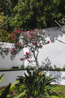 Quinta dos Mistérios- Turismo de Habitação - 7