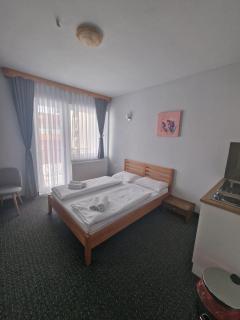 Apartments and Rooms Ski - Vlasic - 6
