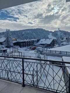 Apartments and Rooms Ski - Vlasic - 7