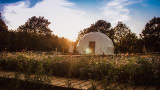 Salinko Glamping - - 8