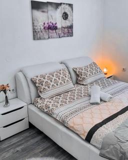 Opsesija SPA - Kragujevac - 7