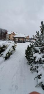 Apartament AiM Leśny Zakątek f8 - Ustroń - 8