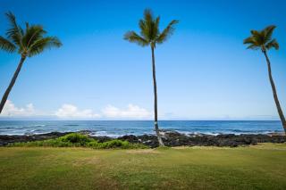Kona Reef Comfort D6 - 9