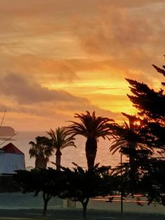Golden Beach House - Porto Santo - 8