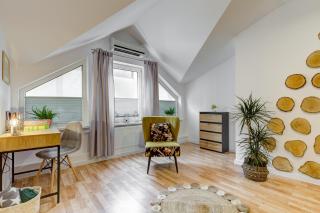 Apartament Abra 2 Rynek 8 - Muszyna - 1