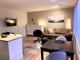 Cosy one bedroom apartment in Reykjavík - Reykjavík - 7