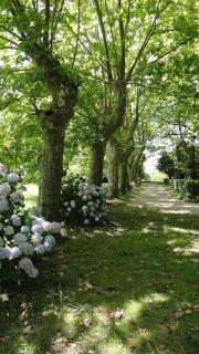 Les Charmilles - Sames - 8