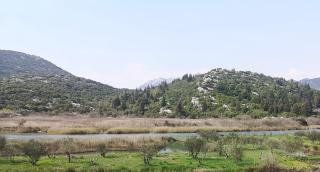 Bacina Dream - Baćina - 9