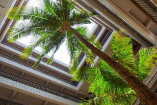 Mauna Kea Beach Hotel, Autograph Collection - Hapuna Beach - 1