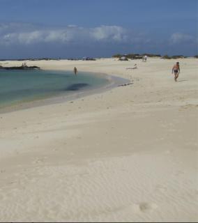 Apartamentos Albaula 5 - El Cotillo - 7