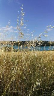 la Bergerie - Salles-sur-lʼHers - 5
