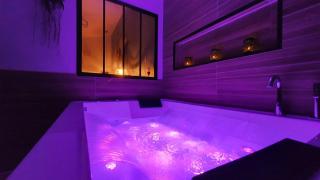 SAUNA, BALNEO, TERRASSE, PARKING, Le tout totalement privé dans maison indépendante à la décoration soignée, ensoleillé et sans vis à vis, Prise VE, Calme et discrétion Garantis, Idéalement situé pour visiter la région, Animaux bienvenues - - 6