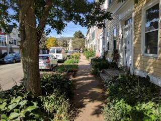 Downtown one bedroom/Historic Bauer Terrace - 4