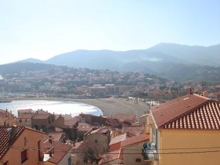 Studio à Banyuls-sur-Mer avec terrasse proche plages et commerces - FR-1-309-73 - Banyuls-sur-Mer - 9