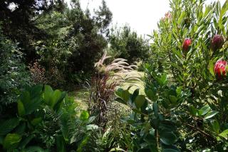 JARDIN SECRET, Bas de villa TOUT CONFORT - Le Tampon - 6