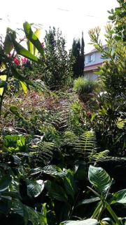 JARDIN SECRET, Bas de villa TOUT CONFORT - Le Tampon - 3