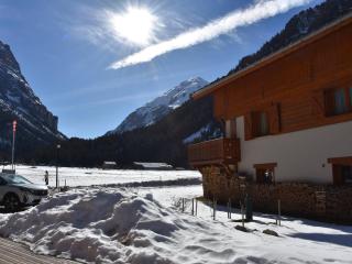 Appartement en Chalet - Terrasse, Proche Pistes, Centre et Téléphérique, Animaux Admis - FR-1-464-215 - Pralognan-la-Vanoise - 6