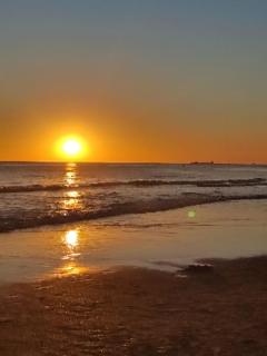 Puerta del Mar-la Barrosa - 7