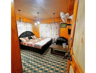 Hotel Ocean, Shrinagar - Srinagar - 5