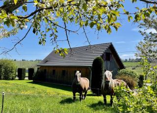 Le loti des Arnats - Saint-Nectaire - 8