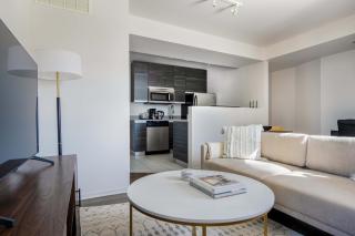 South Loop 1br nr L Grant Park CHI-805 - 8