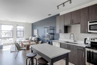 Potomac Yard City 1br w wd gym nr airport WDC-610 - Alexandria - 6