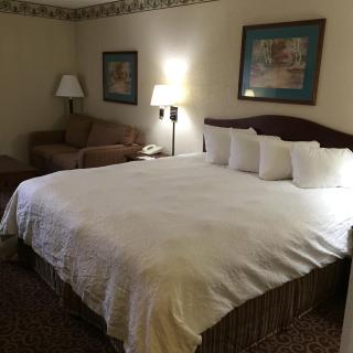 Hotel Concord Syracuse, an Ascend Collection Hotel - 9