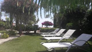 Latchi bay Evergreen villa resort - 0
