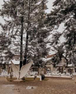 Provans - Bohorodchany - 8