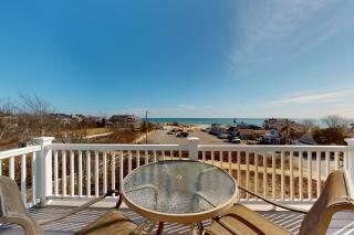 Seashells on Bank - 8