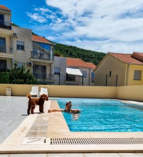 Anja & Ogo apartments with Pool _ - Petrovac na Moru - 1