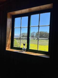 La Macadamia - La Laguna - 2