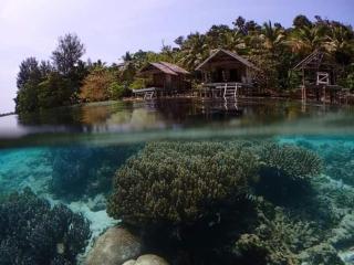 Meos Ambower Homestay Raja Ampat - Fam - 3