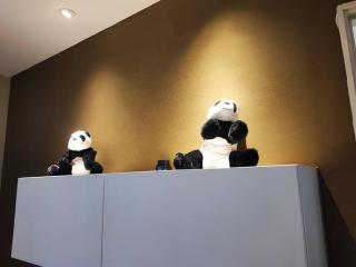 小熊猫亚庇沙巴市区 Little Panda Riverson Imago Kota Kinabalu Sabah Free WIFI Complimentary DRINKS and SNACKS - Kota Kinabalu - 7