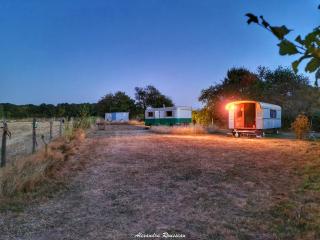 Manoir du Bois Joly - Roulotte Vintage - Margon - 8