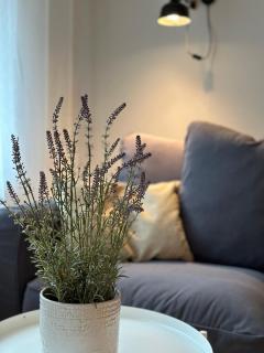 MIA Appartements - Innsbruck - 4