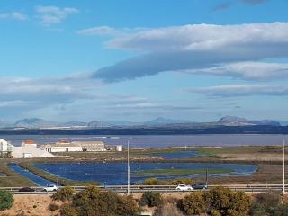 Apartament Flamingo z basenem - Torrevieja - 5