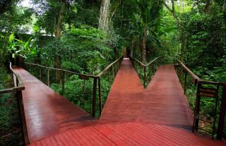 La Reserva Virgin Lodge - 9
